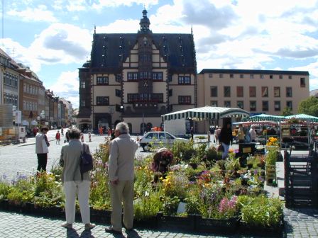 Marktplatz and Rathaus